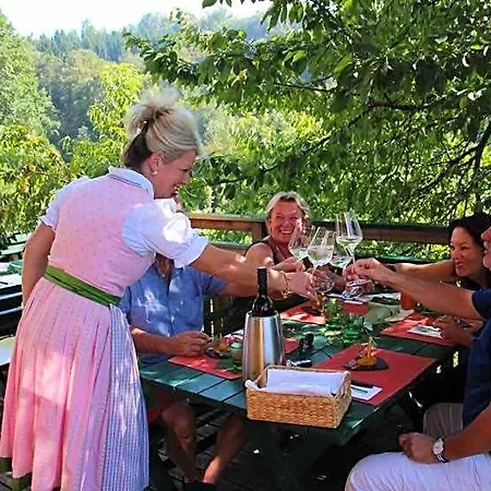 Weingut Schatz Heimschuh