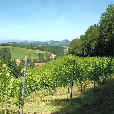 Weingut Schatz *