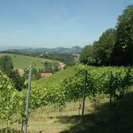 Weingut Schatz Lodge *