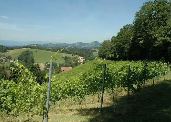 Weingut Schatz بيت خشبي *